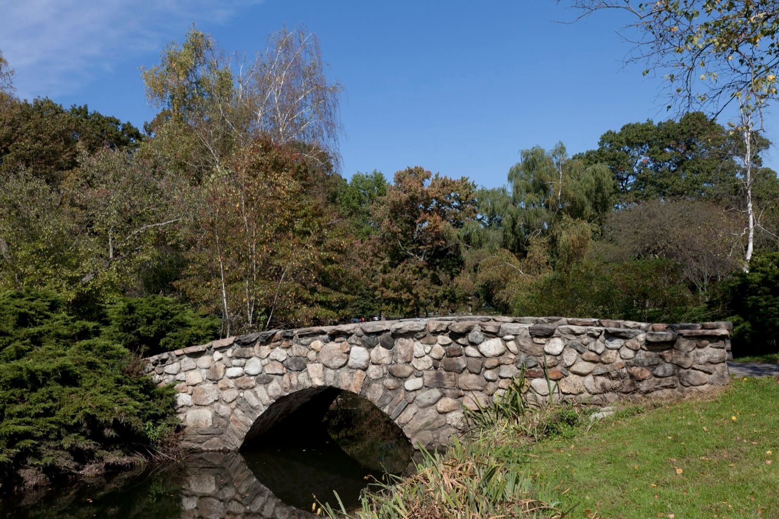 Stone bridge and pond landscape at Binney Park in Riverside.