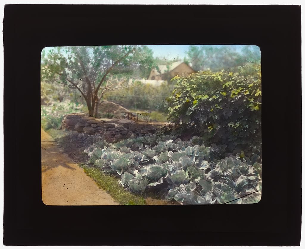 Hand-colored historic photograph of the Chelmsford garden at the Elon Huntington Hooker house in Greenwich, Connecticut.
